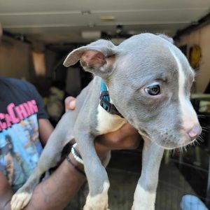 Meet your Posher, Aereon